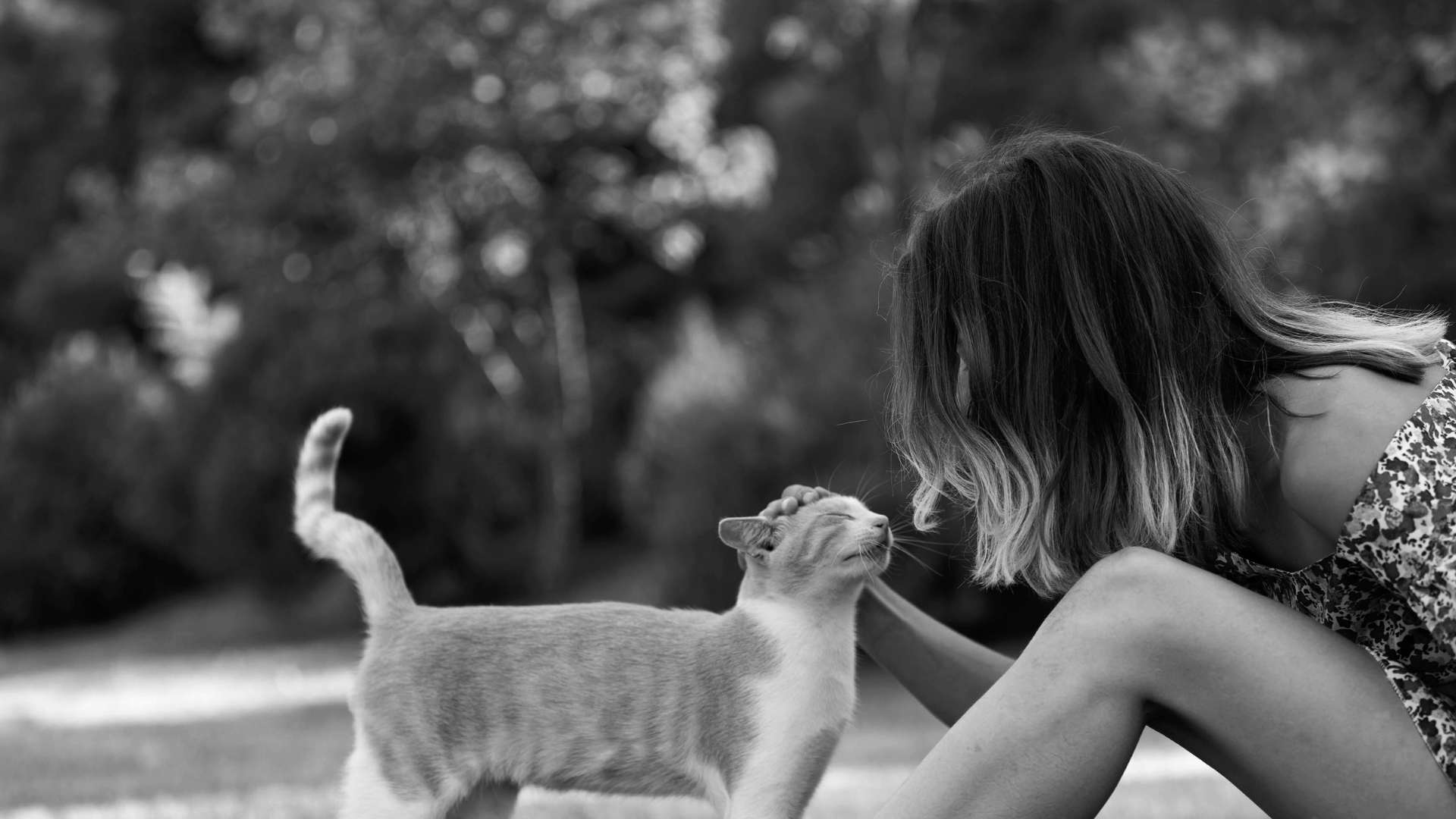 Licking as The Emotional and Psychological Aspects