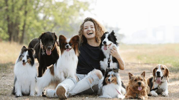 Dogs force us to wider the scope of making friend and making us social