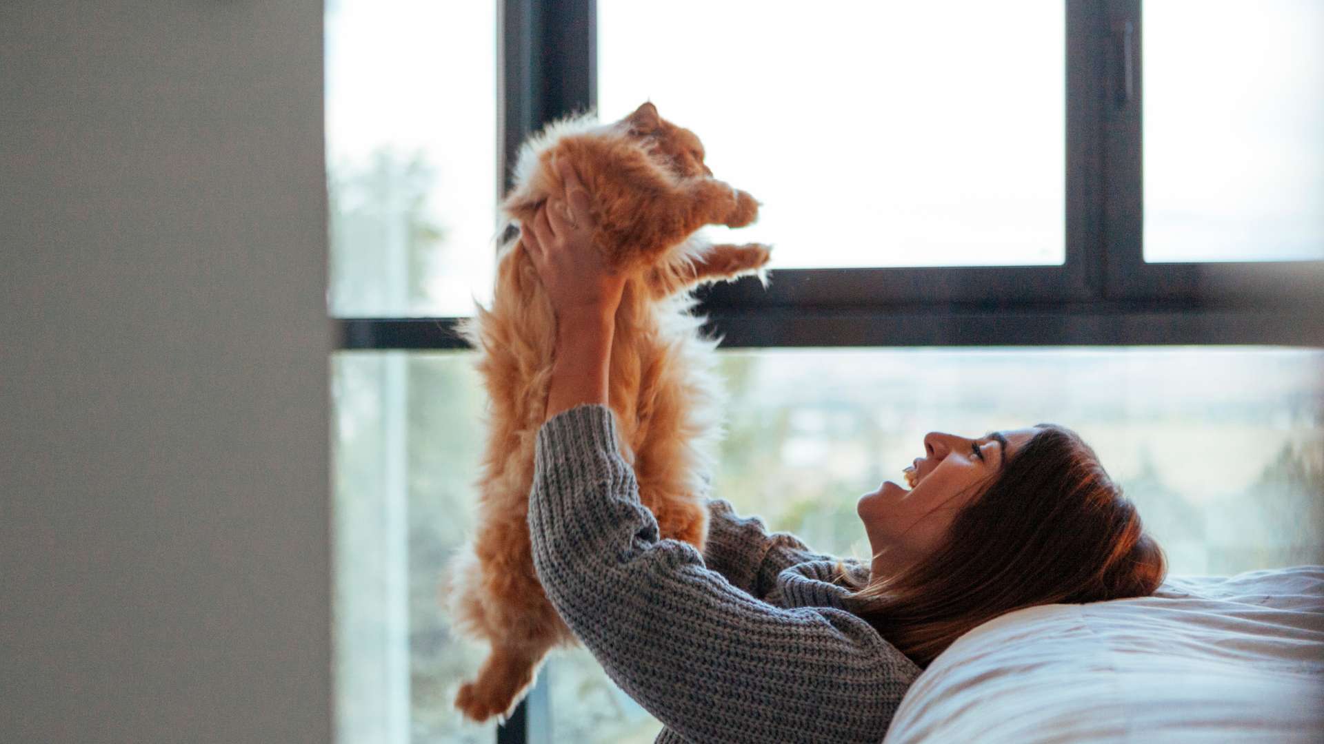 Enhancing Communication with Your Cat 